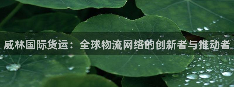 okpay钱包怎么充值：威林国际货运：全球物流网络的创新