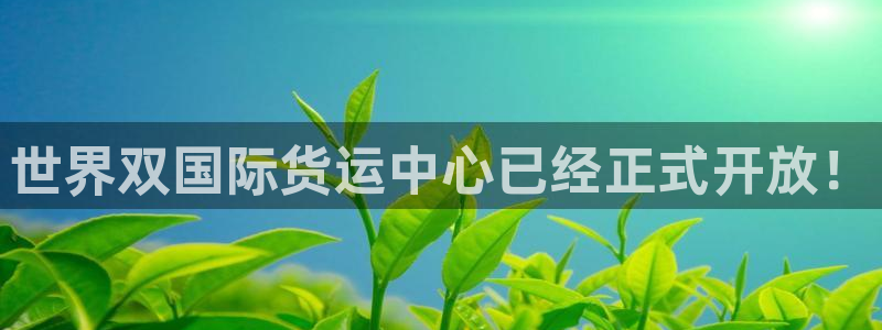 okpay钱包的钱怎么取出来：世界双国际货运中心已经正式
