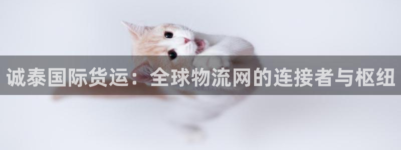 okpay钱包网址：诚泰国际货运：全球物流网的连接者与枢
