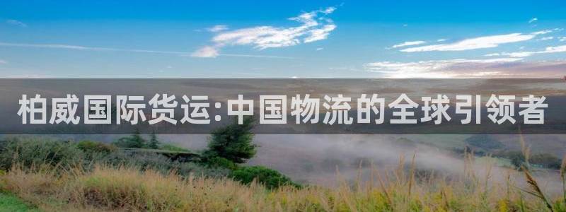okpay钱包是正规平台吗：柏威国际货运:中国物流的全球
