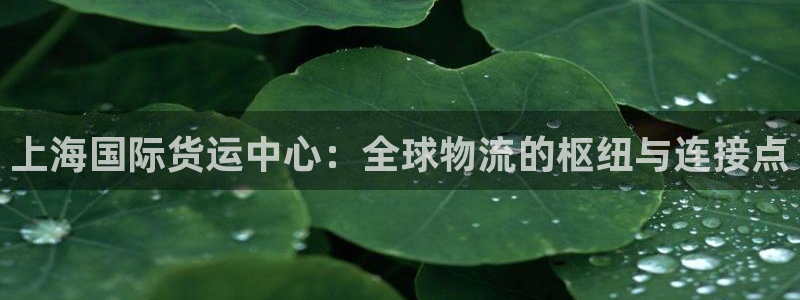 okpay支付钱包官网：上海国际货运中心：全球物流的枢纽