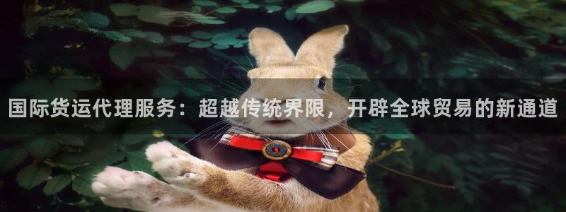 okpay钱包怎么样：国际货运代理服务：超越传统界限，开