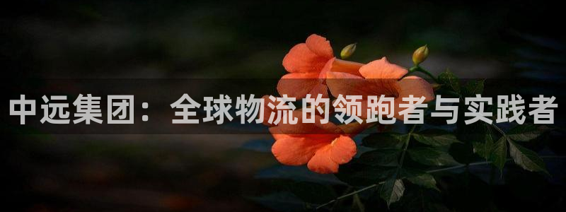 okpay钱包提现教程：中远集团：全球物流的领跑者与实践