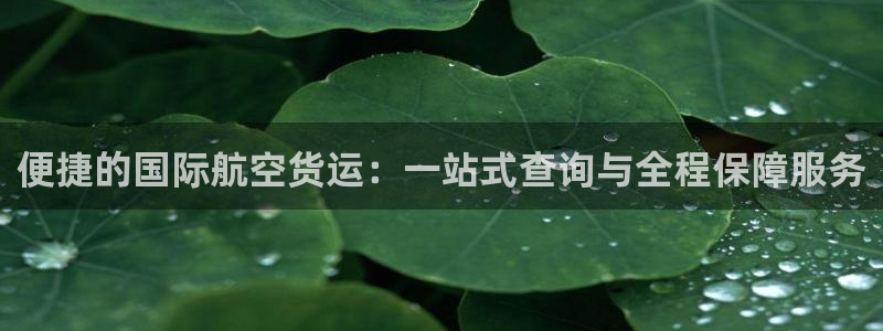 okpay是哪个国家的钱包：便捷的国际航空货运：一站式查