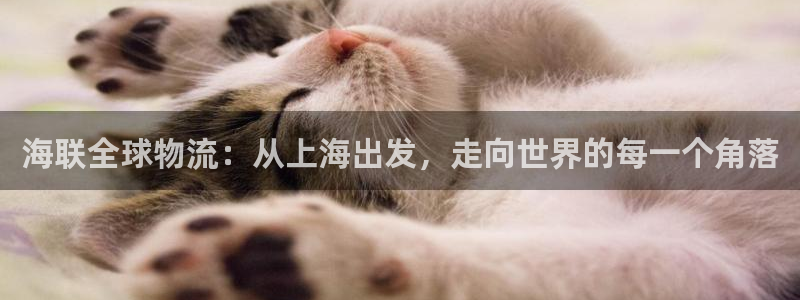 okpay777钱包：海联全球物流：从上海出发，走向世界
