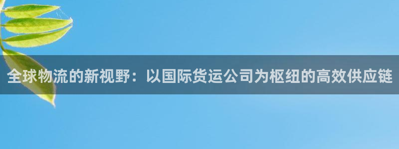 okpay钱包安卓版下载：全球物流的新视野：以国际货运公