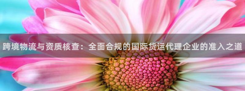 okpay钱包下载：跨境物流与资质核查：全面合规的国际货