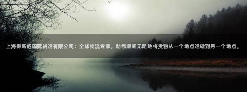 okpay钱包gopay哪个好：上海得斯威国际货运有限公