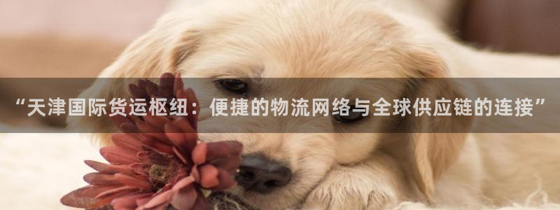 okpay钱包充值：“天津国际货运枢纽：便捷的物流网络与