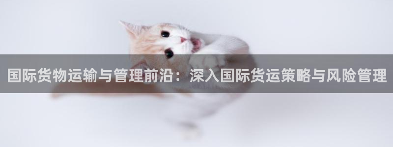钱包okpay：国际货物运输与管理前沿：深入国际货运策略