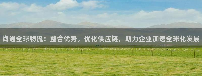 okpay钱包下载官网：海通全球物流：整合优势，优化供应