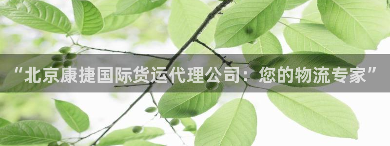 okpay钱包注册：“北京康捷国际货运代理公司：您的物流