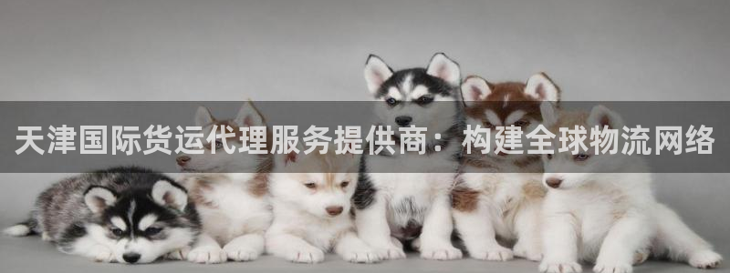 okpay钱包苹果：天津国际货运代理服务提供商：构建全球
