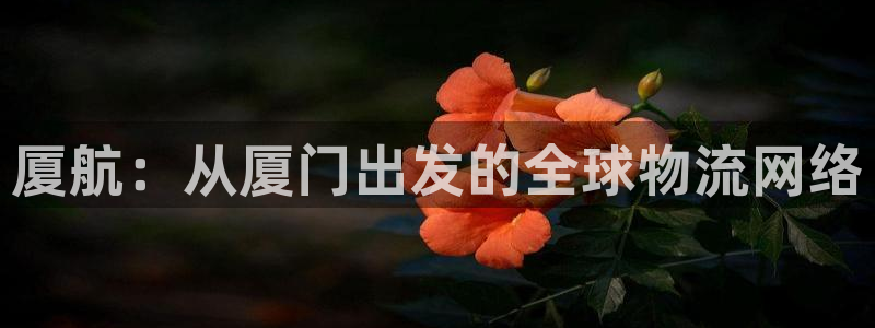 okpay777钱包最新版本：厦航：从厦门出发的全球物流