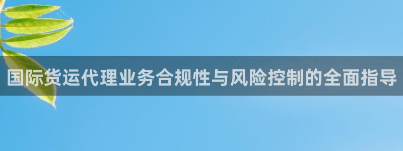 okpay钱包最新下载地址：国际货运代理业务合规性与风险