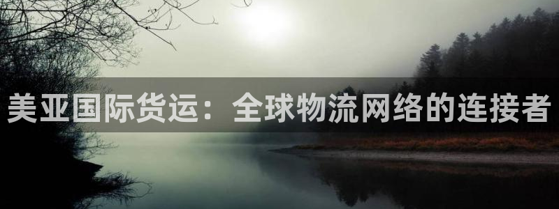 okpay钱包好用吗：美亚国际货运：全球物流网络的连接者