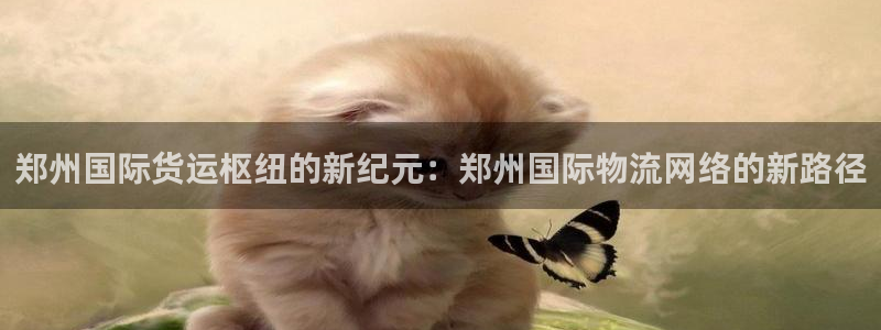 okpay钱包最新下载地址：郑州国际货运枢纽的新纪元：郑