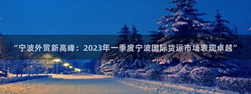 okpay钱包软件下载：“宁波外贸新高峰：2023年一季