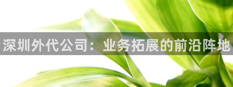 网赌okpay钱包安全吗：深圳外代公司：业务拓展的前沿阵