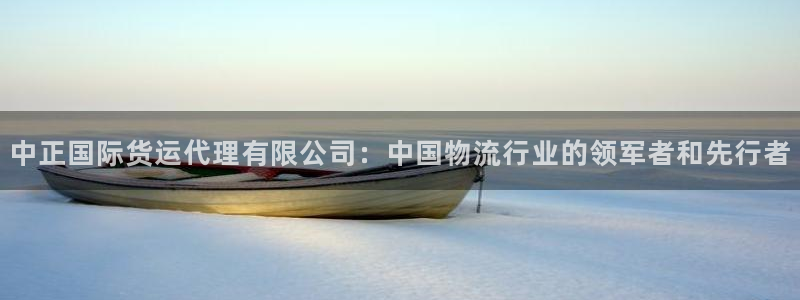 okpay钱包怎么提现到微信：中正国际货运代理有限公司：