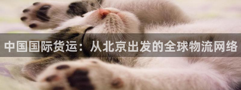 okpay钱包地址在哪里：中国国际货运：从北京出发的全球