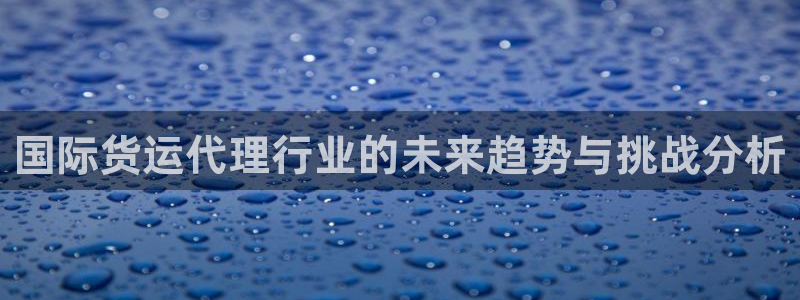 okpay钱包靠谱吗：国际货运代理行业的未来趋势与挑战分