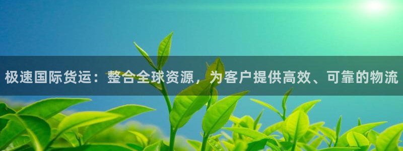 okpay钱包：极速国际货运：整合全球资源，为客户提供高