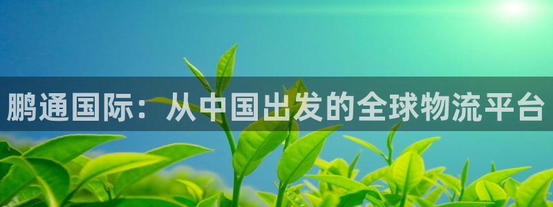 怎样下载okpay钱包：鹏通国际：从中国出发的全球物流平
