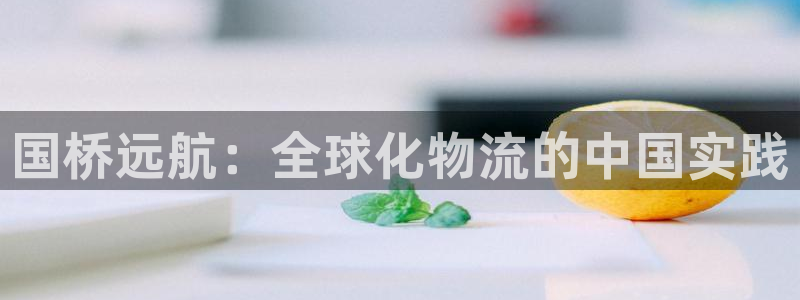 下载okpay钱包：国桥远航：全球化物流的中国实践