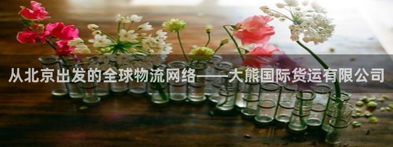 okpay钱包下载地址：从北京出发的全球物流网络——大熊