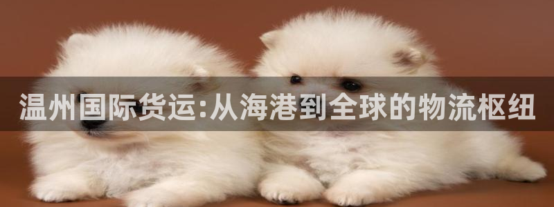 okpay钱包的方法：温州国际货运:从海港到全球的物流枢