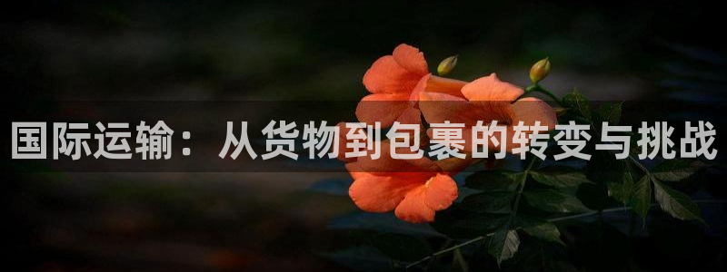okpay钱包怎么提现到微信：国际运输：从货物到包裹的转