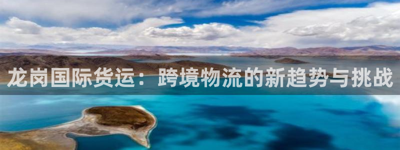 okpay钱包安全吗：龙岗国际货运：跨境物流的新趋势与挑