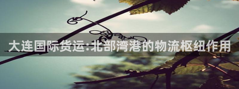 okpay下载钱包：大连国际货运:北部湾港的物流枢纽作用