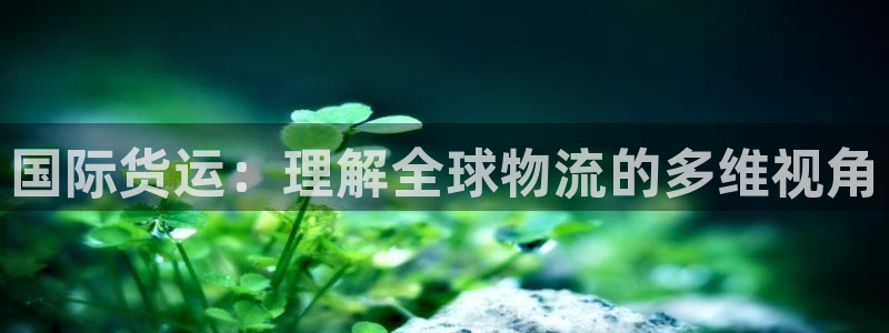 okpay支付钱包下载最新：国际货运：理解全球物流的多维