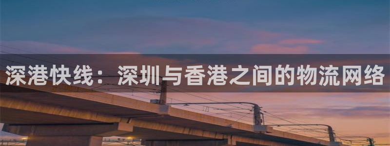 okpay钱包客服：深港快线：深圳与香港之间的物流网络