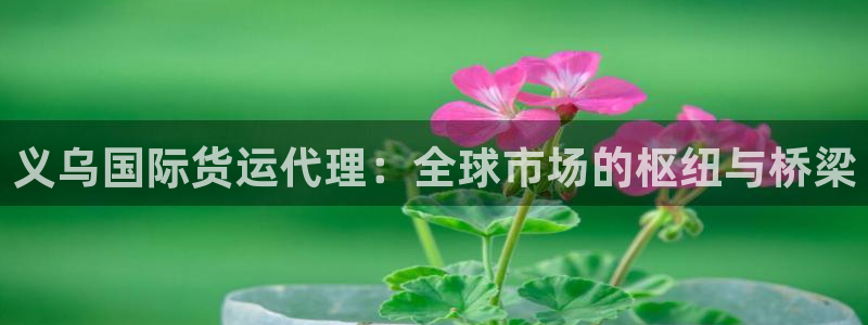 okpay虚拟币钱包下载：义乌国际货运代理：全球市场的枢