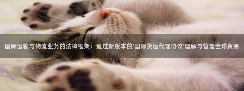 okpay钱包app官网：国际运输与物流业务的法律框架：