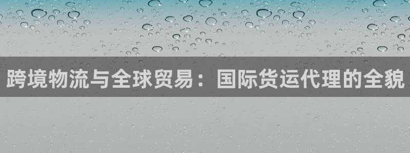 okpay钱包安卓版下载：跨境物流与全球贸易：国际货运代