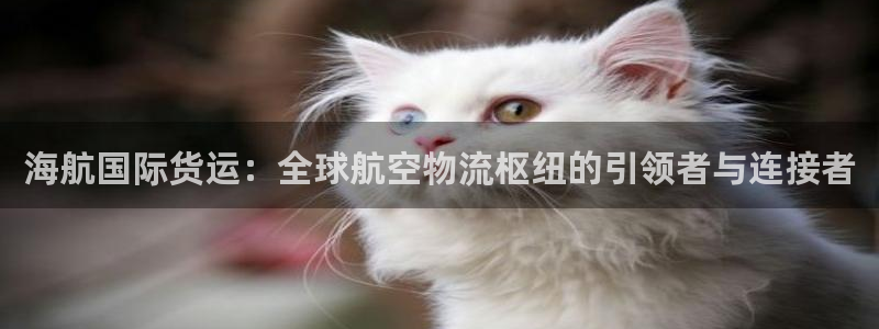 okpay钱包实名认证有风险吗：海航国际货运：全球航空物