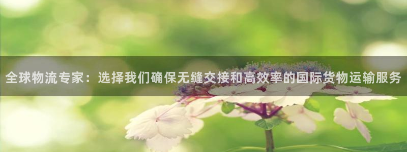 okpay钱包app官网：全球物流专家：选择我们确保无缝