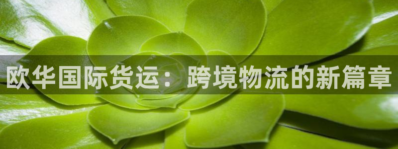okpay777钱包最新版本：欧华国际货运：跨境物流的新