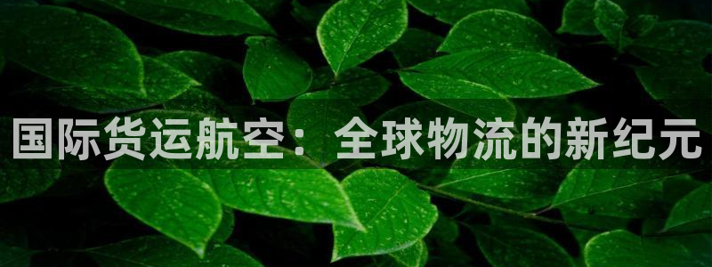 okpay钱包怎么充值：国际货运航空：全球物流的新纪元