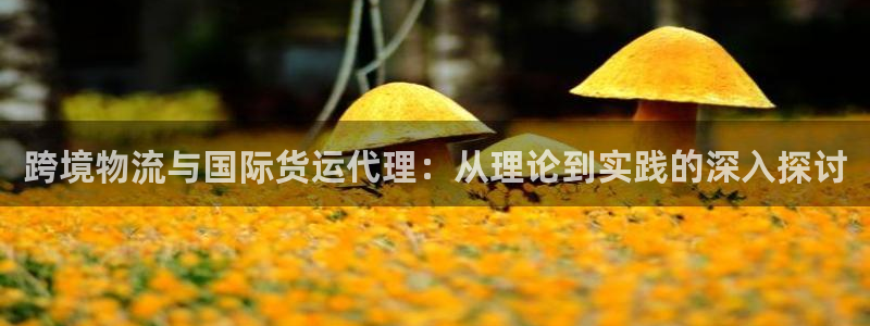 okpay钱包地址怎么查询：跨境物流与国际货运代理：从理
