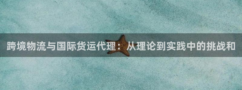 okpay钱包实名认证有风险吗：跨境物流与国际货运代理：