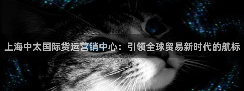 okpay钱包怎么样：上海中太国际货运营销中心：引领全球