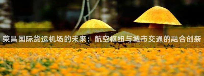 okpay钱包倒闭了没：荣昌国际货运机场的未来：航空枢纽
