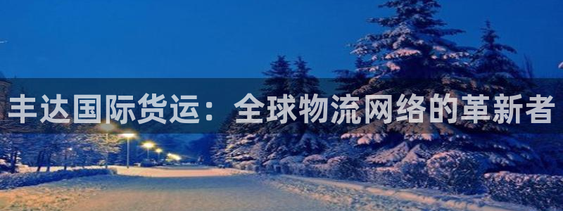 okpay钱包链接：丰达国际货运：全球物流网络的革新者