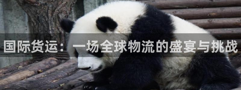 okpay钱包好用吗