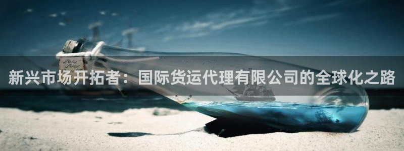 okpay钱包最新版安卓版：新兴市场开拓者：国际货运代理